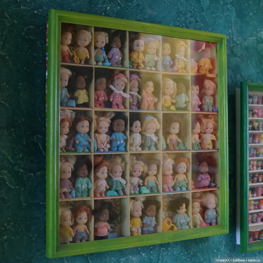 Мои новые мелкие 2025 - Келли, Мокси, Ддунг и Тико