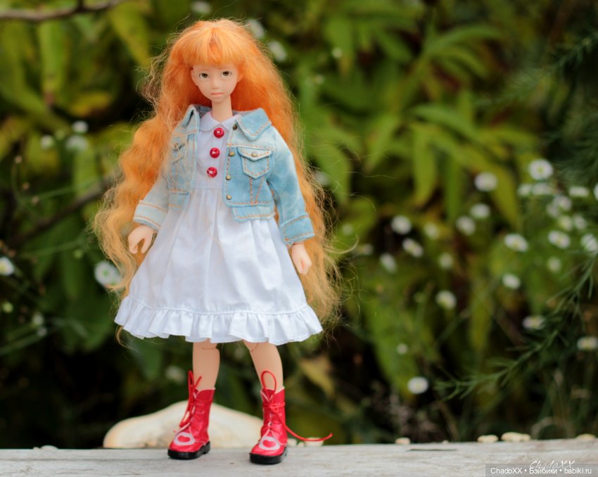 Альма-Рута — Куклы и тела Obitsu (Обитсу): 1/6