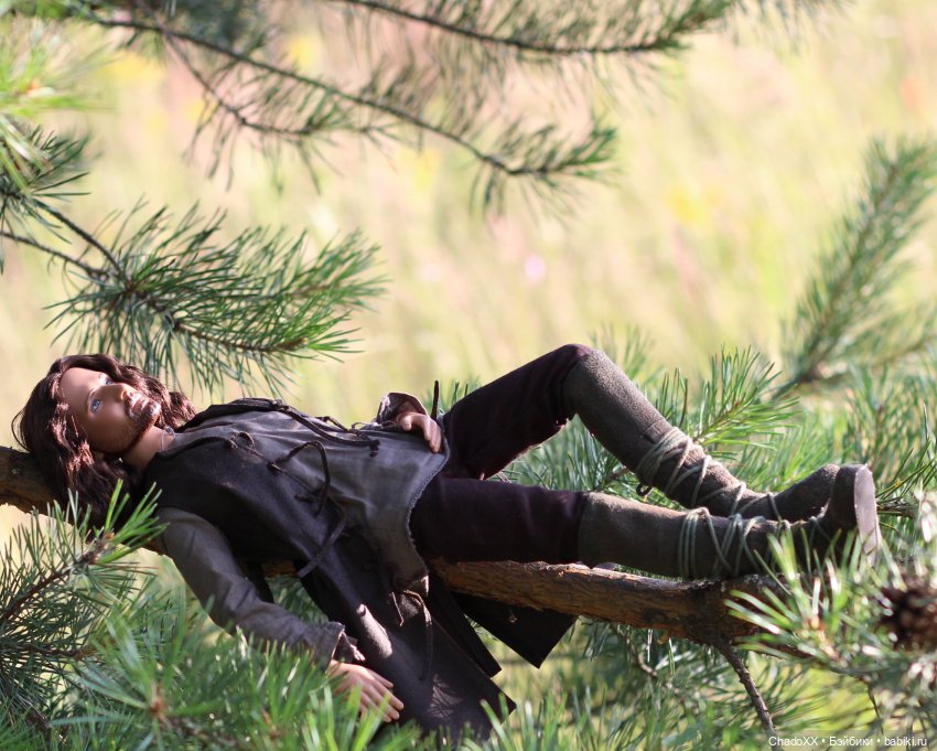 Мои Тоннеры - Арвен и Арагорн (фото 9)