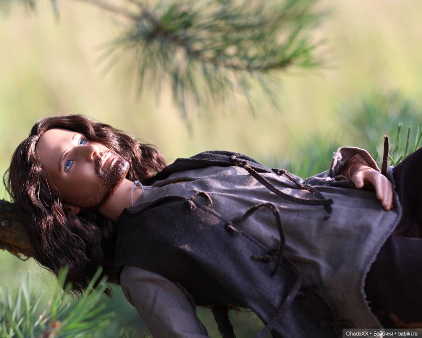 Мои Тоннеры - Арвен и Арагорн (фото 10)