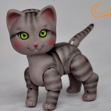 Объявляю предзаказ на котят