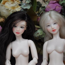 Шарнирные голышки и не только от SisterFox