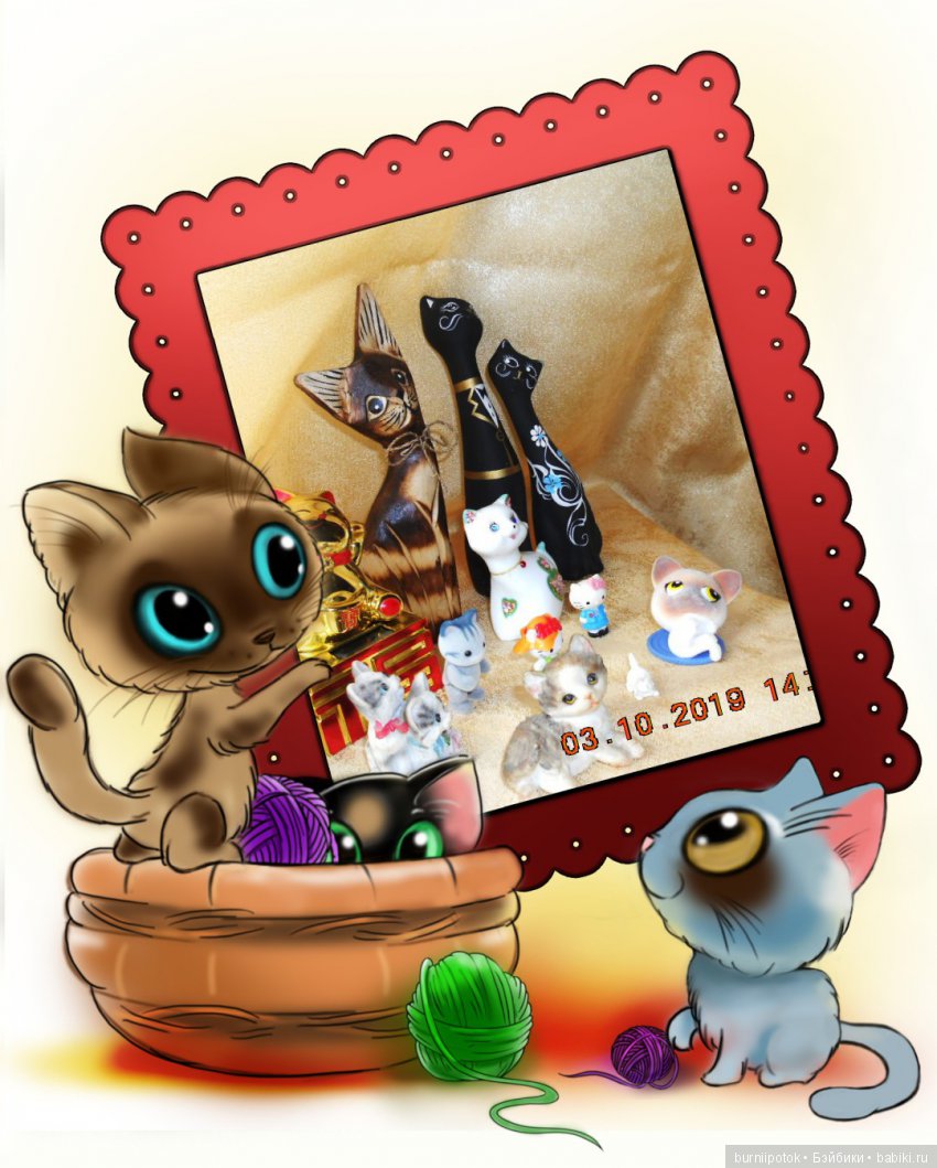 Любимые кошечки и котики | Бэйбики Любимые кошечки и котики — Болталка и разговоры обо всем: жизнь