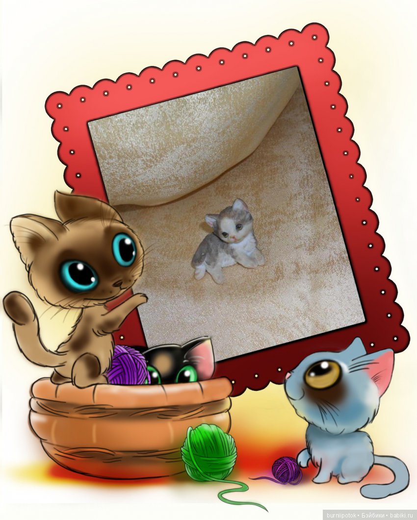 Любимые кошечки и котики | Бэйбики Любимые кошечки и котики — Болталка и разговоры обо всем: жизнь (фото 8)
