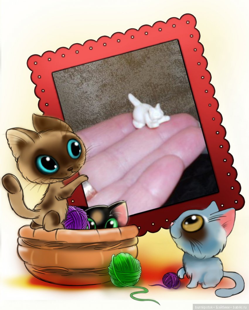 Любимые кошечки и котики | Бэйбики Любимые кошечки и котики — Болталка и разговоры обо всем: жизнь