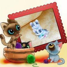 Любимые кошечки и котики