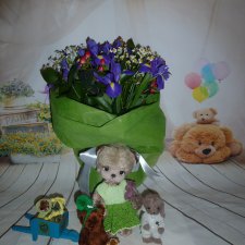 Поздравляем!