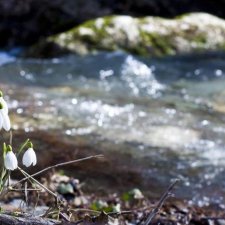 30 марта — народный праздник Алексей Теплый