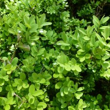 Сочи-Адлер: Южное Взморье - виртуальное путешествие по территории санатория