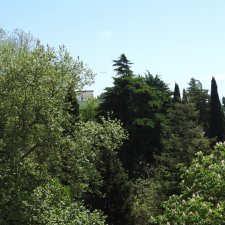 Сочи-Адлер: Южное Взморье - наблюдения за самолетами