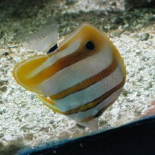 Путешествие на о. Кипр