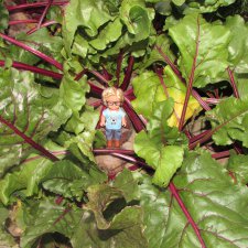 Путешествие в Нижегородскую область - часть 3 - Тимошка на усадьбе