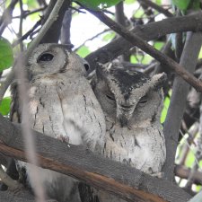 Любителям природы - профессиональные фотографии (выпуск 4)