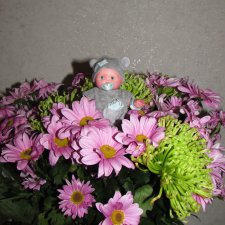 " В листочках зимних Хризантем"