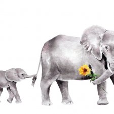 BrigitteMayArt - Иллюстрированная флора и фауна by Brigitte May