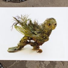 EllenJewettPrintShop - "Сюрреалистическая естественная история" by Ellen Jewett