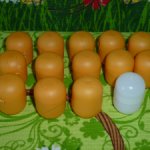Подарю Капсулы \ контейнеры для мелочей - 15 шт - не прозрачные