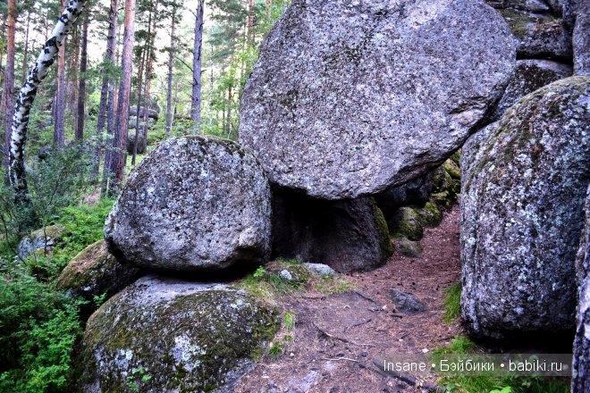 Мой родной Алтайский край