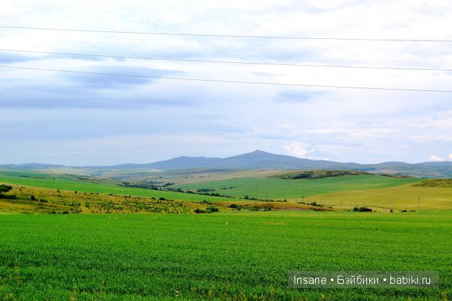 Мой родной Алтайский край