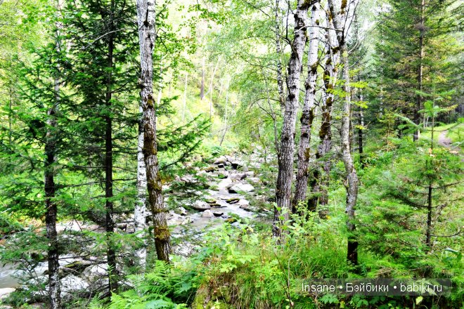 Мой родной Алтайский край