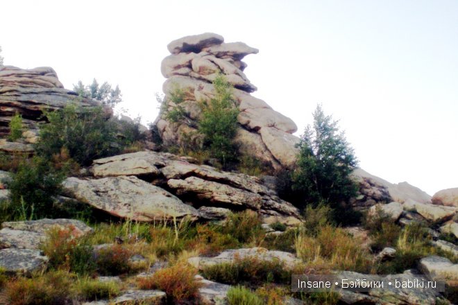 Мой родной Алтайский край (фото 4)