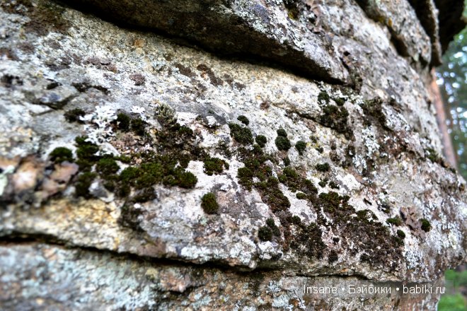 Мой родной Алтайский край