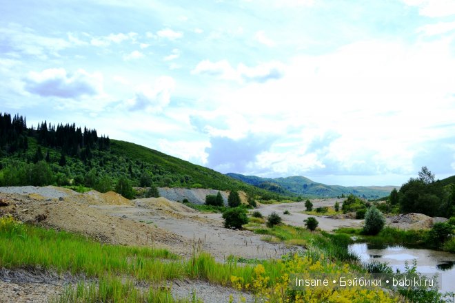 Мой родной Алтайский край (фото 8)