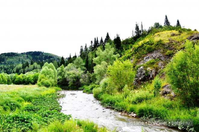 Мой родной Алтайский край