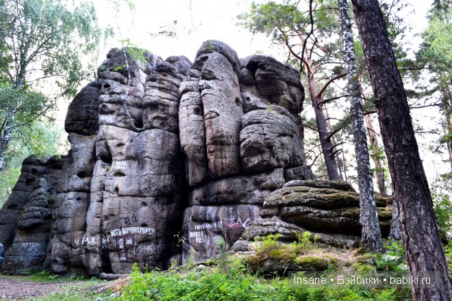 Мой родной Алтайский край