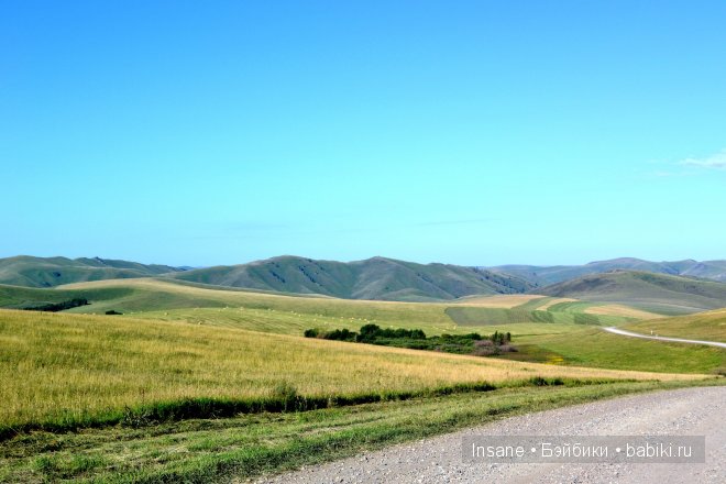 Мой родной Алтайский край