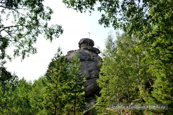Мой родной Алтайский край