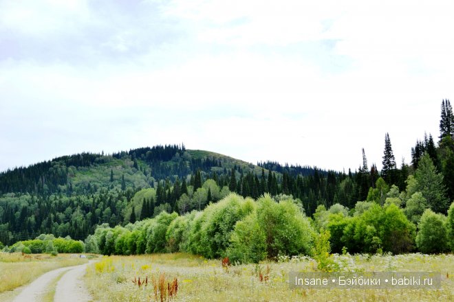 Мой родной Алтайский край (фото 9)