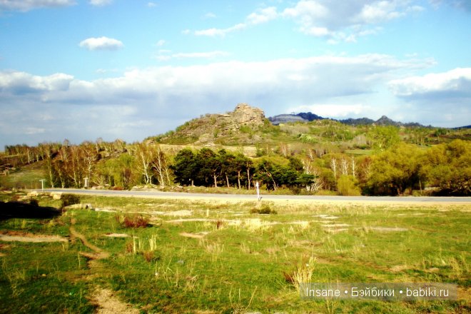 Мой родной Алтайский край (фото 2)
