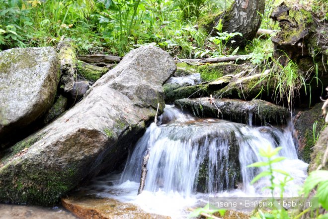 Мой родной Алтайский край