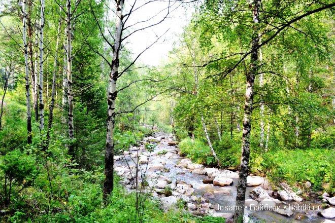 Мой родной Алтайский край
