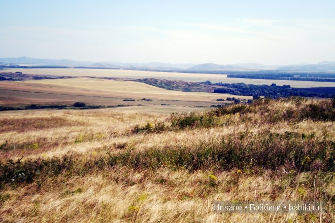 Мой родной Алтайский край