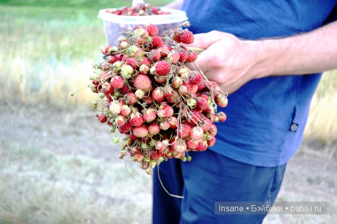 Мой родной Алтайский край