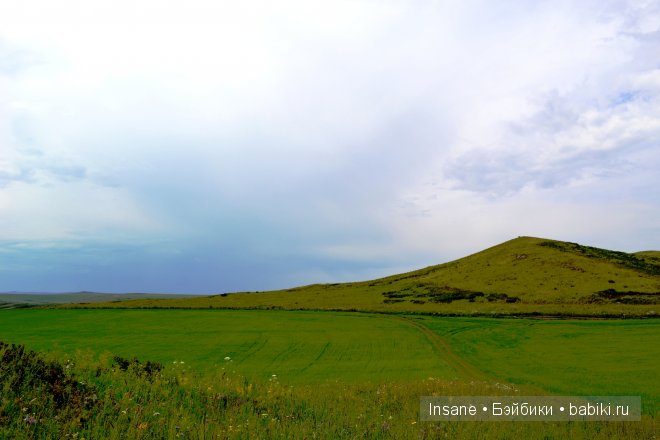 Мой родной Алтайский край
