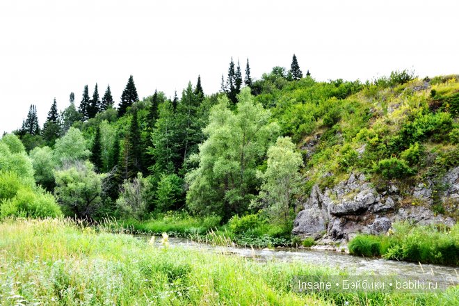 Мой родной Алтайский край (фото 10)