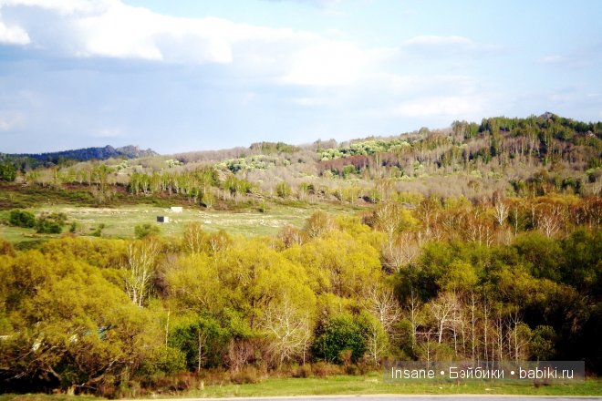 Мой родной Алтайский край