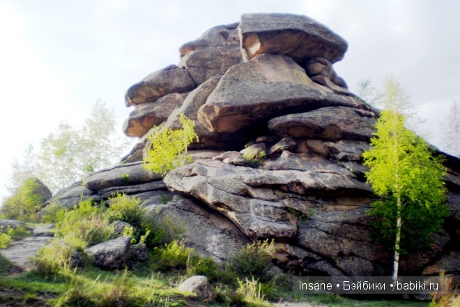Мой родной Алтайский край (фото 5)