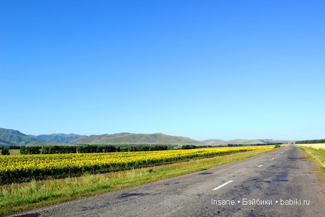 Мой родной Алтайский край