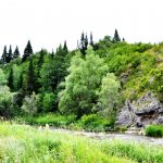 Мой родной Алтайский край!