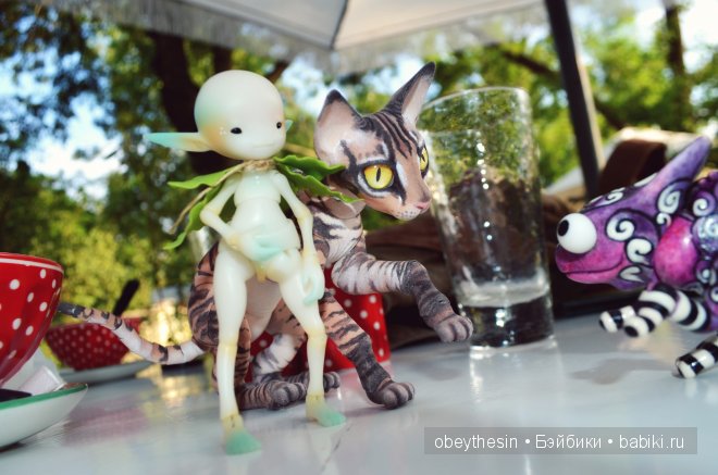 Новые друзья — Разные куклы BJD (БЖД): редкие бренды