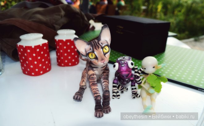 Новые друзья — Разные куклы BJD (БЖД): редкие бренды