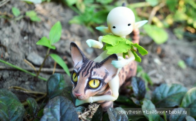 Новые друзья — Разные куклы BJD (БЖД): редкие бренды (фото 4)