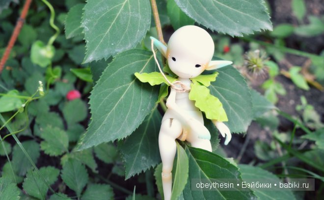 Новые друзья — Разные куклы BJD (БЖД): редкие бренды (фото 3)