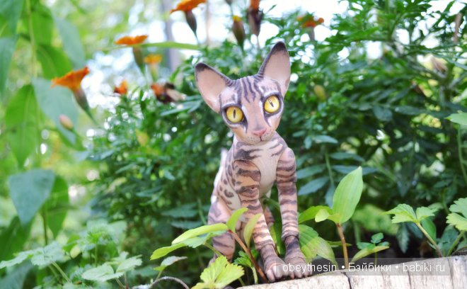 Новые друзья — Разные куклы BJD (БЖД): редкие бренды