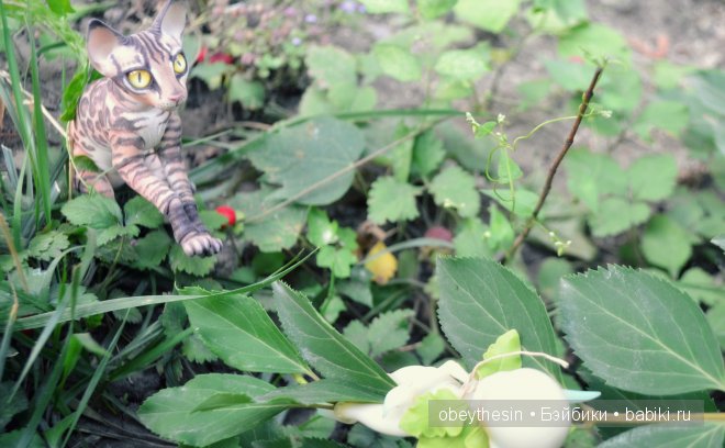 Новые друзья — Разные куклы BJD (БЖД): редкие бренды (фото 2)