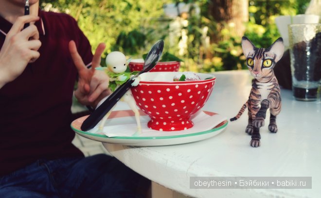 Новые друзья — Разные куклы BJD (БЖД): редкие бренды (фото 6)